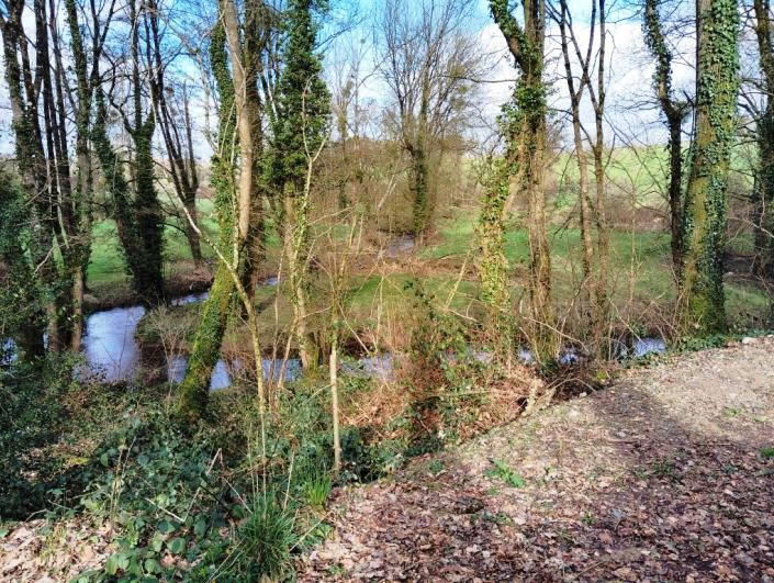 Image No.3-House for sale