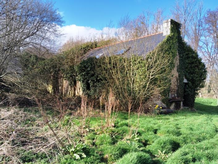 Image No.9-House for sale