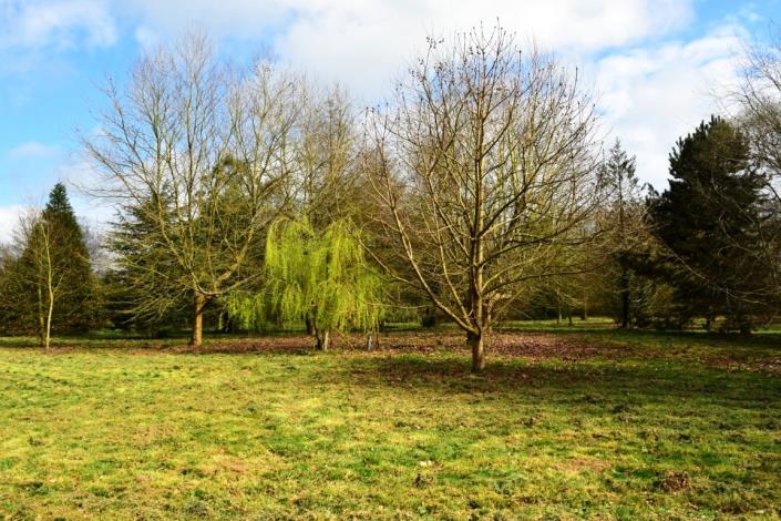 Image No.24-Maison de 3 chambres à vendre à Plussulien