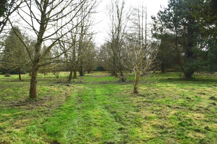 Image No.27-Maison de 3 chambres à vendre à Plussulien