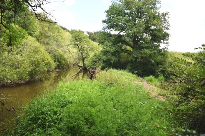 Image No.9-3 Bed House for sale