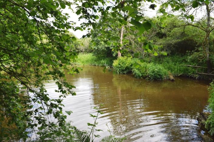 Image No.10-3 Bed House for sale