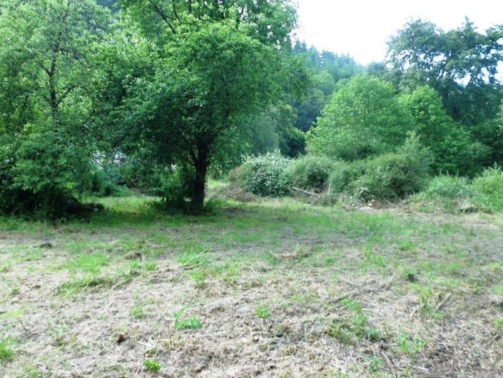 Image No.29-3 Bed House for sale