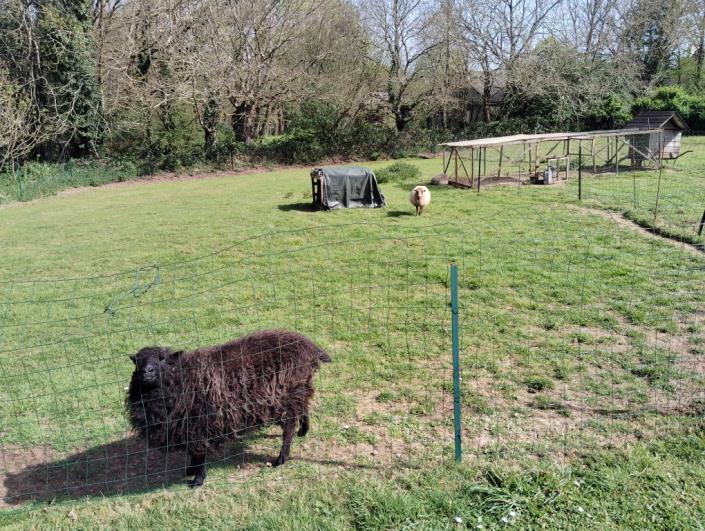 Image No.22-Maison de 3 chambres à vendre à Landeleau