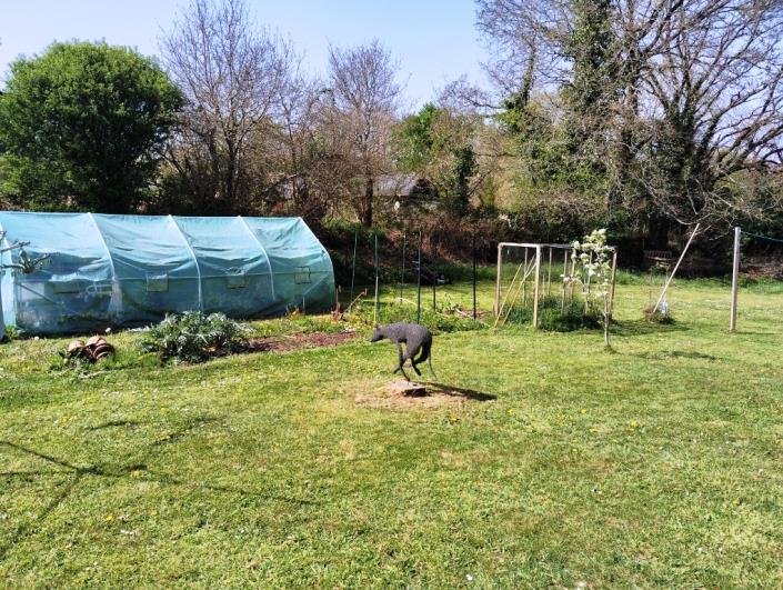 Image No.21-Maison de 3 chambres à vendre à Landeleau