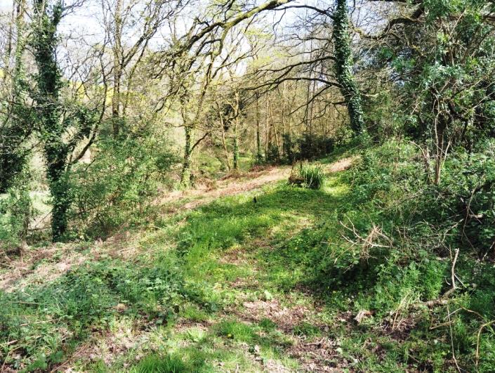 Image No.25-Maison de 3 chambres à vendre à Landeleau