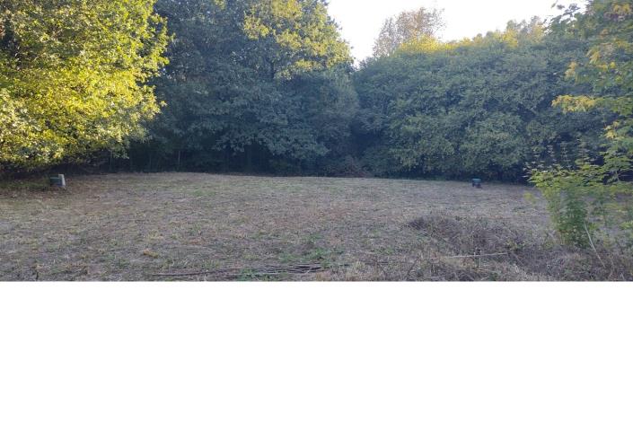 Image No.26-4 Bed House for sale