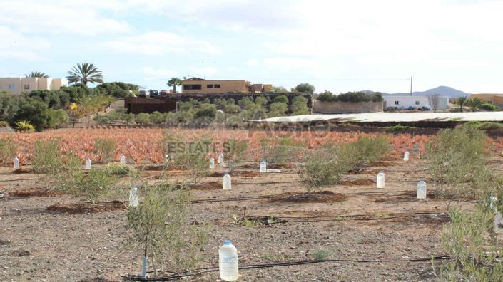 Image No.20-4 Bed Villa for sale