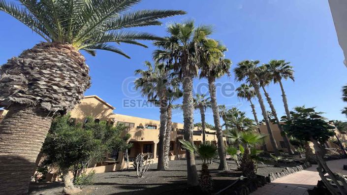 Image No.9-1 Bed Apartment for sale