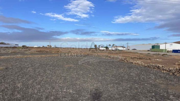 Image No.6-Terre à vendre à Villaverde