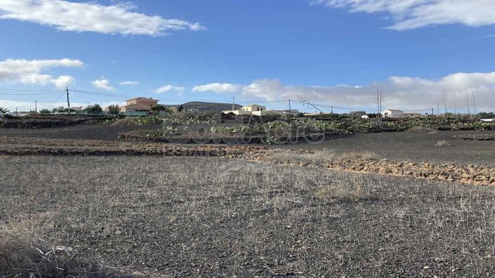 Image No.7-Terre à vendre à Villaverde
