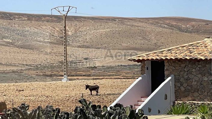 Image No.54-Villa de 7 chambres à vendre à Casillas De Morales