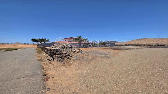 Image No.6-Terre à vendre à La Oliva