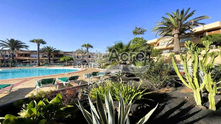 Image No.14-Appartement de 1 chambre à vendre à Corralejo