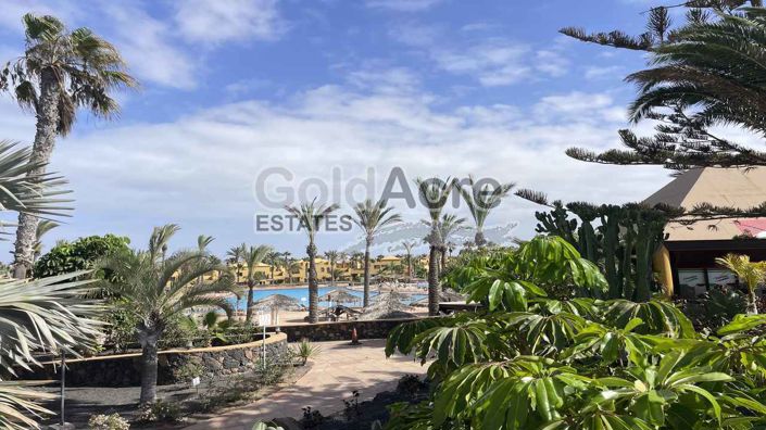 Image No.3-1 Bed Apartment for sale