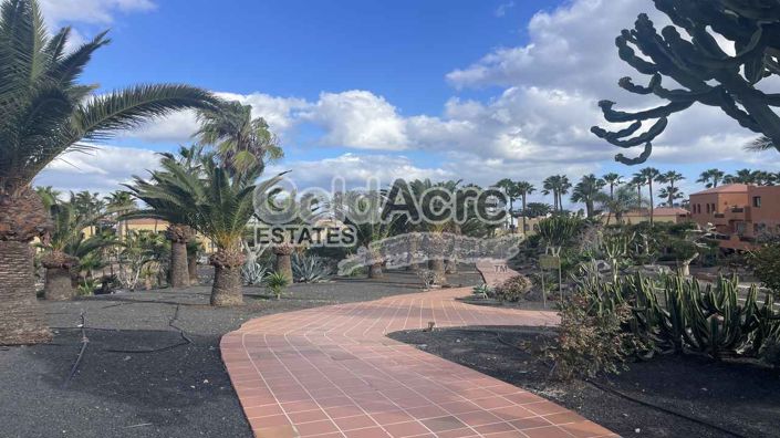 Image No.12-1 Bed Penthouse for sale