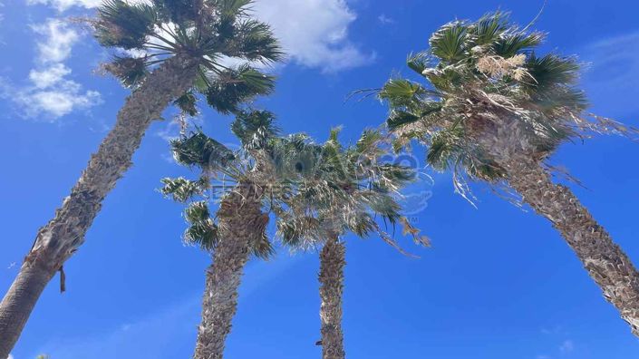 Image No.37-1 Bed Apartment for sale