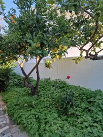 photo-17
