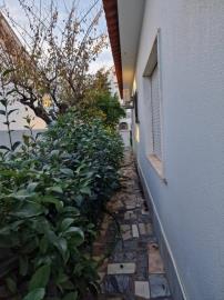 photo-20