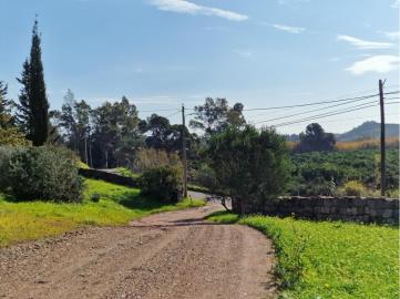 photo-31