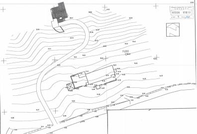 topographical-map
