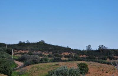 photo-18