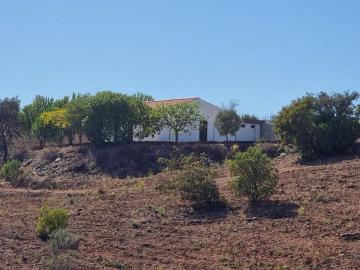 photo-19