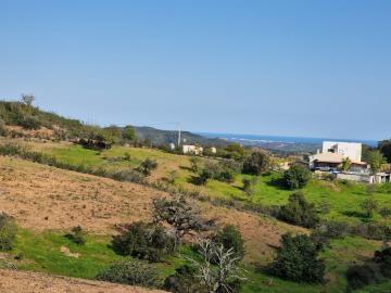 photo-20
