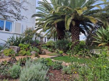 photo-40