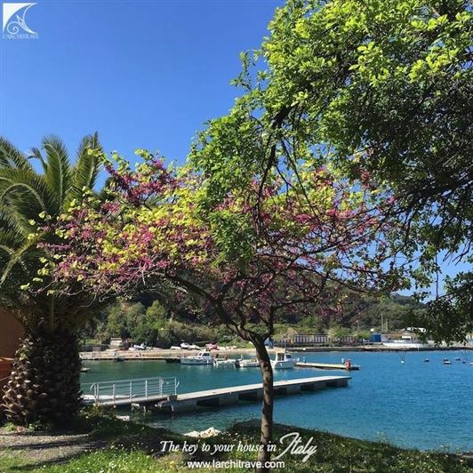 Image No.14-2 Bed Villa for sale