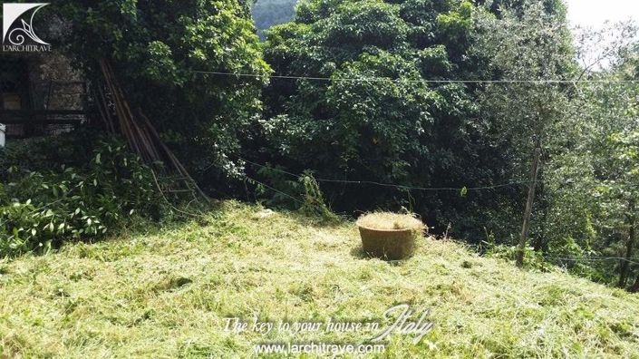 Image No.18-3 Bed House for sale