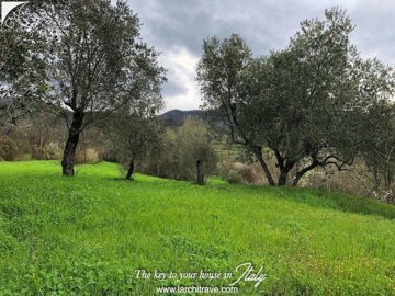 cedc94a3-3818-9f2e-952d-40c9376dd393