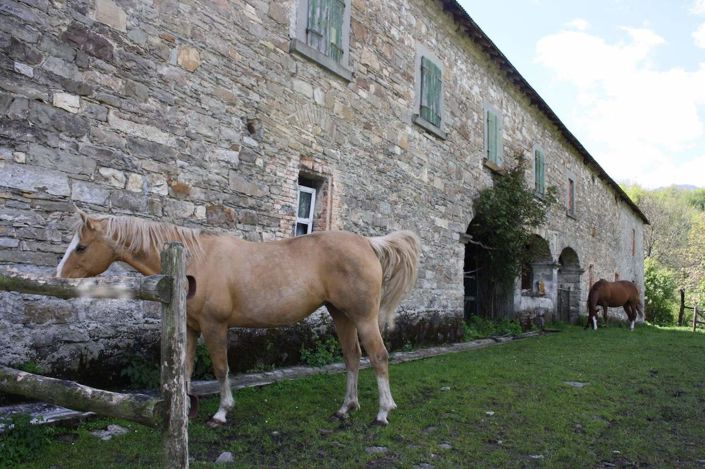 Image No.4-Villa de 5 chambres à vendre à Monchio delle Corti