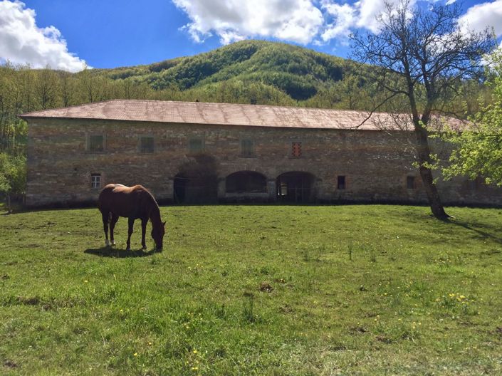 Image No.9-Villa de 5 chambres à vendre à Monchio delle Corti