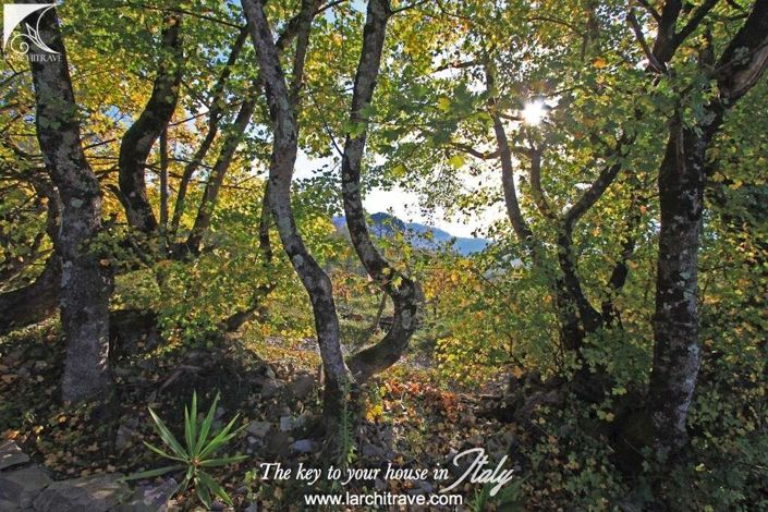 Image No.15-Maison de 1 chambre à vendre à Licciana Nardi