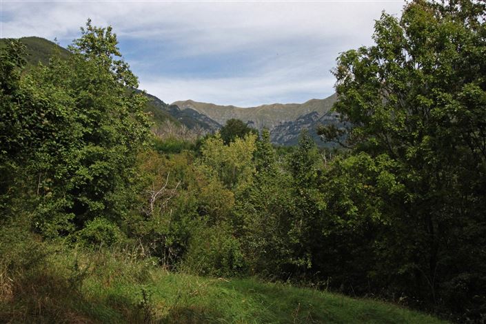 Image No.24-4 Bed Villa for sale