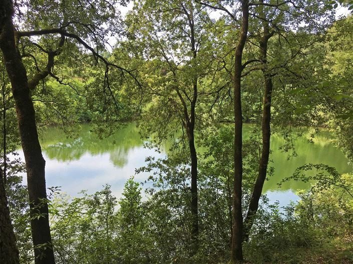 Image No.19-Villa de 15 chambres à vendre à Fivizzano