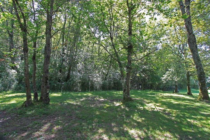 Image No.36-Villa de 6 chambres à vendre à Bagnone