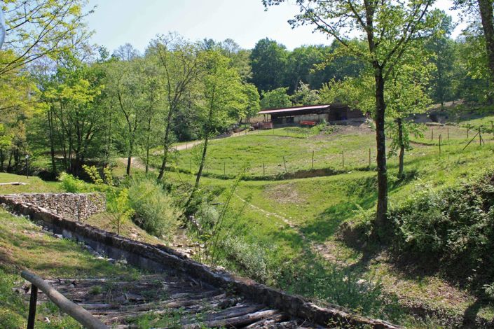 Image No.3-4 Bed Villa for sale