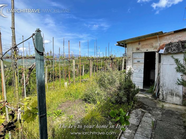 Image No.16-Maison de 2 chambres à vendre à Fivizzano