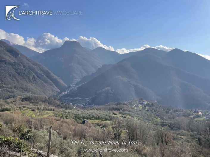 Image No.19-3 Bed House for sale