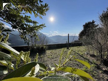 7d421b31-f84f-e0cb-3b9e-08f16dc04cfc