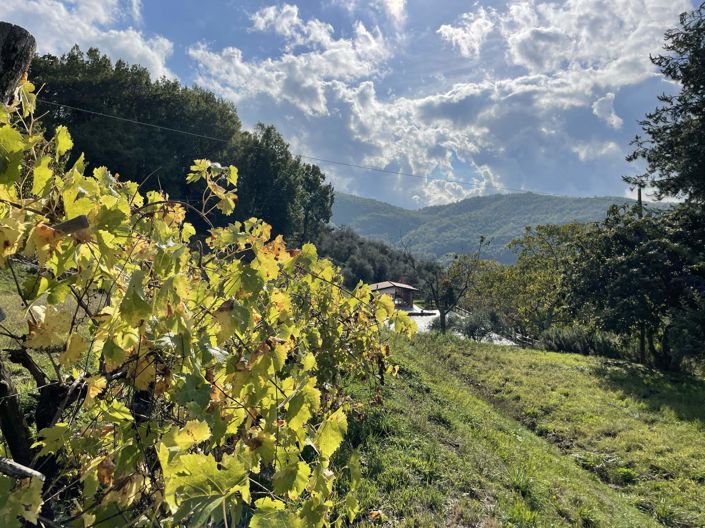 Image No.25-7 Bed Villa for sale