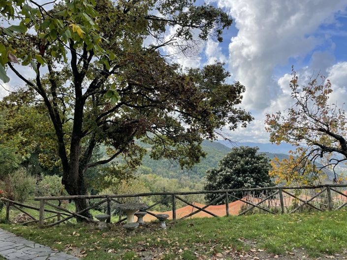 Image No.35-7 Bed Villa for sale