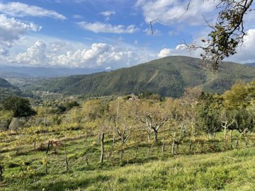 85d42056-fba6-9569-0b49-b9aff5e0ecca