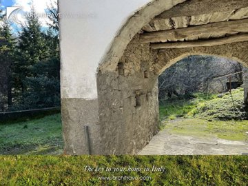 dadebf38-66ff-ebd3-e350-9156a2010256