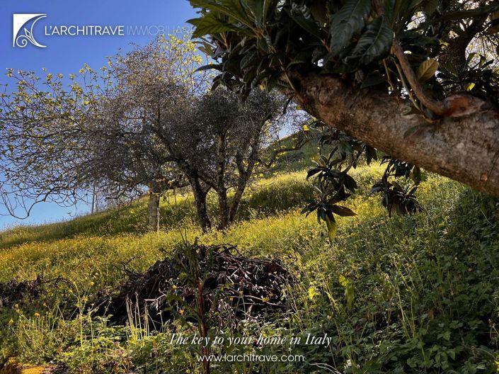 Image No.18-Maison de 3 chambres à vendre à Fivizzano