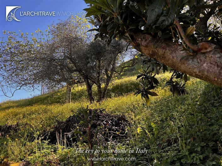 Image No.18-3 Bed House for sale