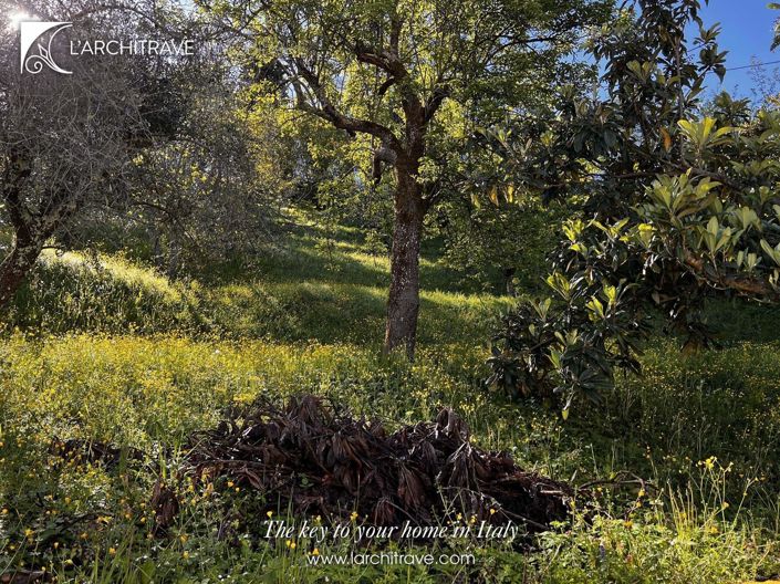 Image No.21-Maison de 3 chambres à vendre à Fivizzano