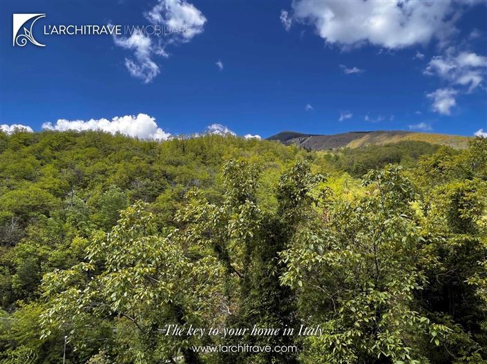 Image No.11-3 Bed House for sale